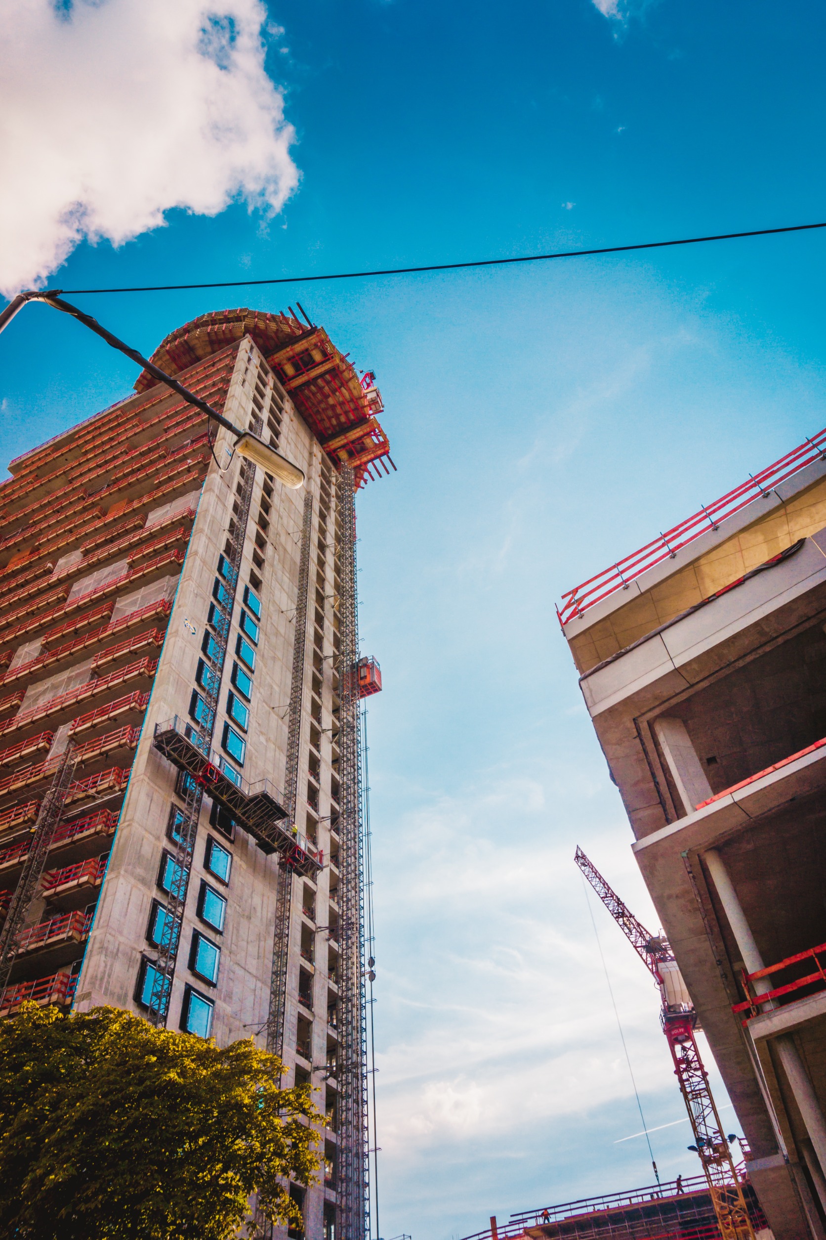 65118442-m-normal-none